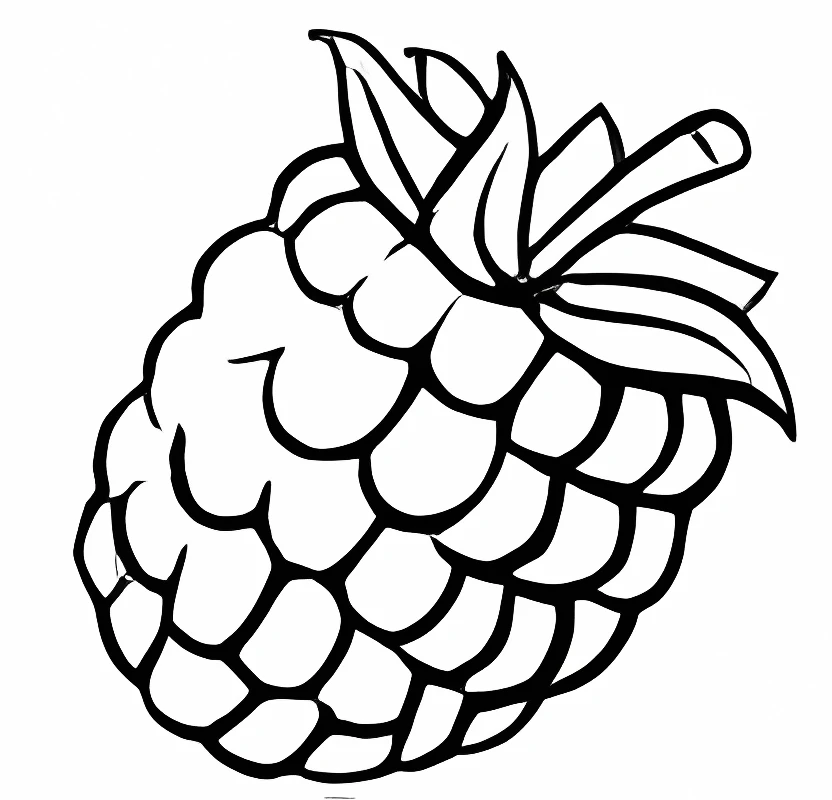 raspberry