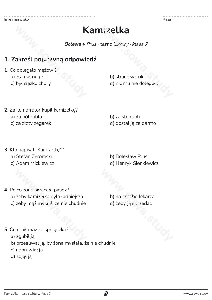 Kamizelka – test z lektury, klasa 7 – darmowa karta pracy do druku