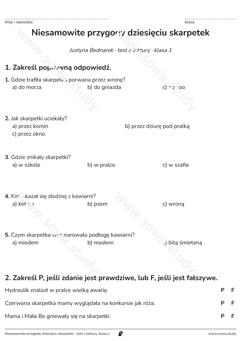 Niesamowite przygody dziesięciu skarpetek – test z lektury, klasa 1 – darmowa karta pracy do druku