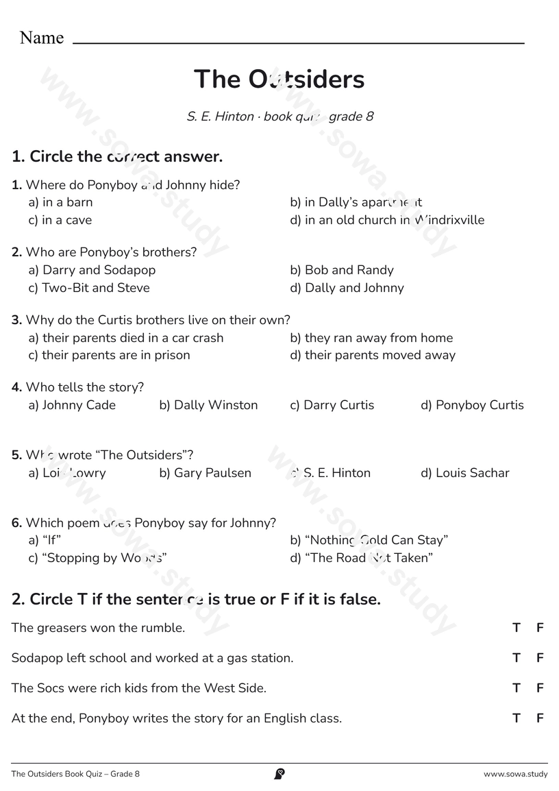 The Outsiders Book Quiz – Grade 8 – printable worksheet